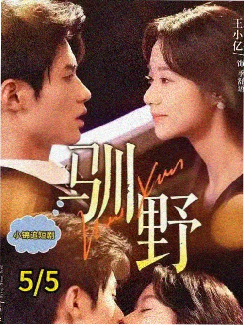 长夜将明谍战剧免费观看